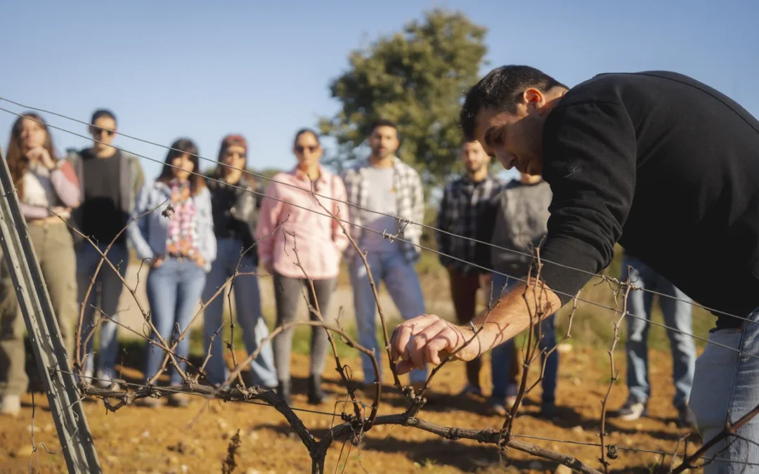 MARIDATGE DE PROXIMITAT: COM COMBINEM ELS VINS DE L’ALT CAMP AMB PRODUCTES DE LA TERRA