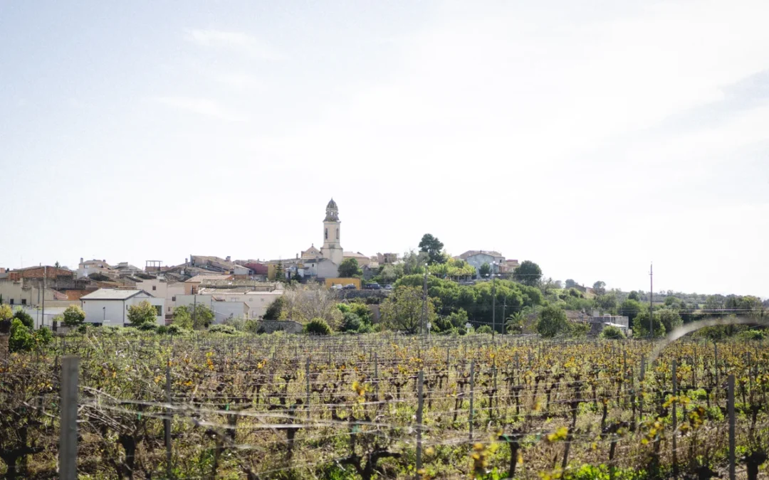 COM GAUDIR DEL TEU PRIMER TAST DE VINS A TARRAGONA: GUIA PER A PRINCIPIANTS