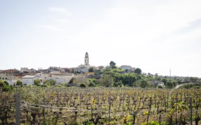 COM GAUDIR DEL TEU PRIMER TAST DE VINS A TARRAGONA: GUIA PER A PRINCIPIANTS